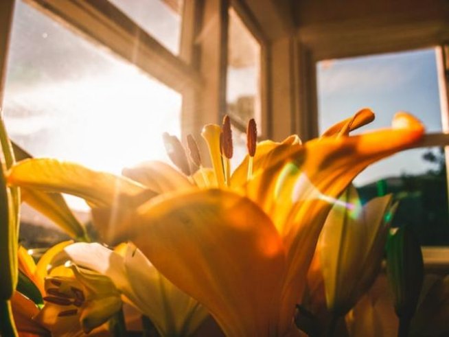 Снимка: pexels