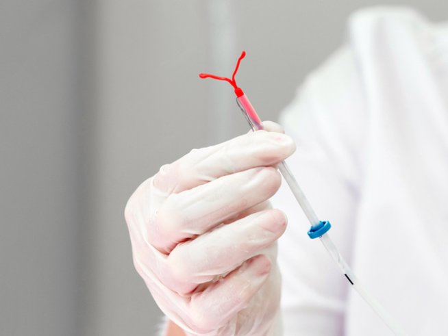 Снимка: istock