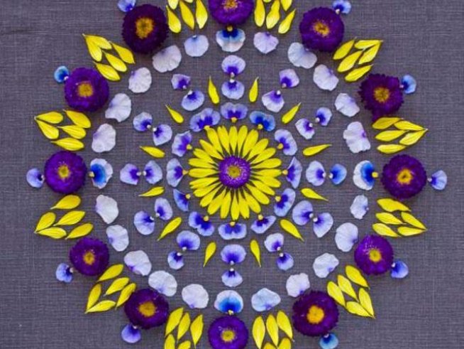 Снимка: boredpanda.com,danmala.com