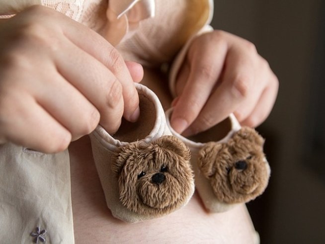 Снимка: pixabay