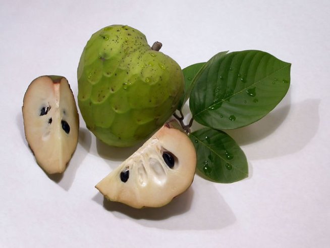 Плод Анона ябълка Снимка: Sxc.hu