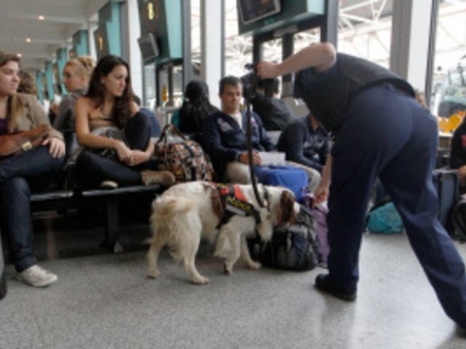 Засилени охранителни мерки по автогарите, дали?