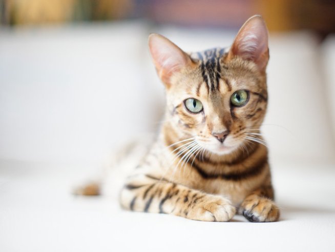 Снимка: Sxc.hu