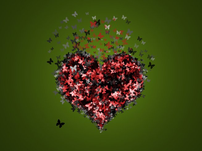 Снимка: Sxc.hu