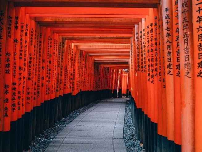 Снимка: unsplash
