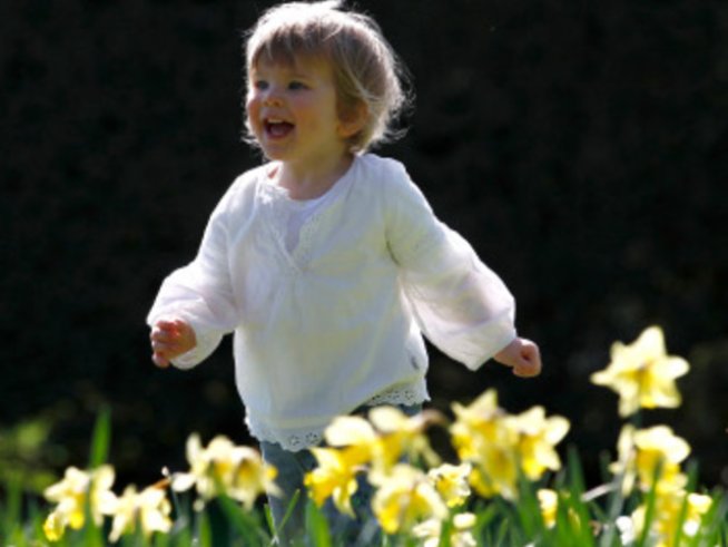 Трябва ли ви речник, за да разбирате бебето