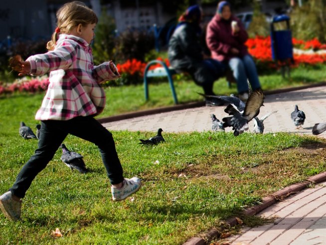 Снимка: Sxc.hu