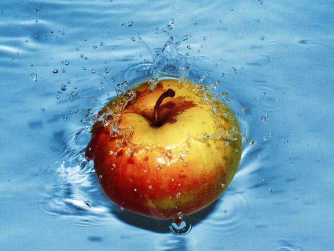 Снимка: Sxc.hu