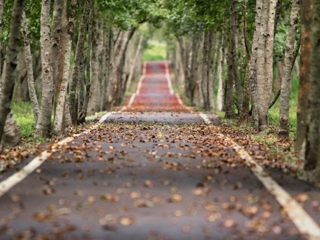 Снимка: pixabay