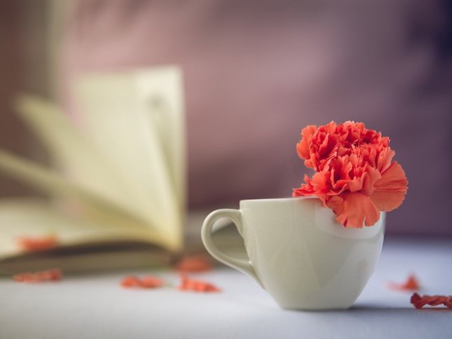 Снимка: pixabay