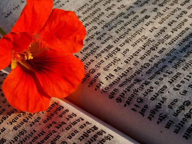 Снимка: sxc.hu