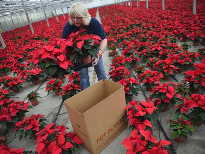 Снимка: Reuters