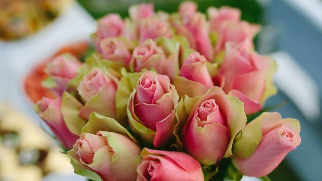 Снимка: Envato.