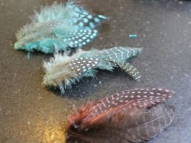 Снимка: hellonatural.co