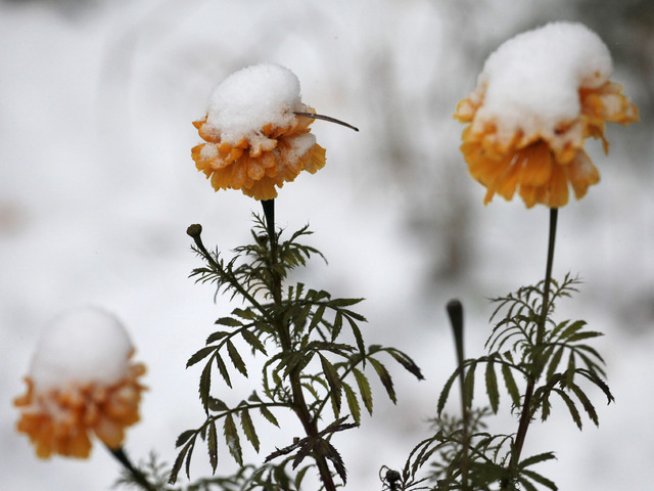 Снимка: Reuters