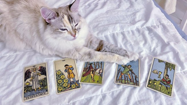 Таро карта за 21 май. Снимка: istock