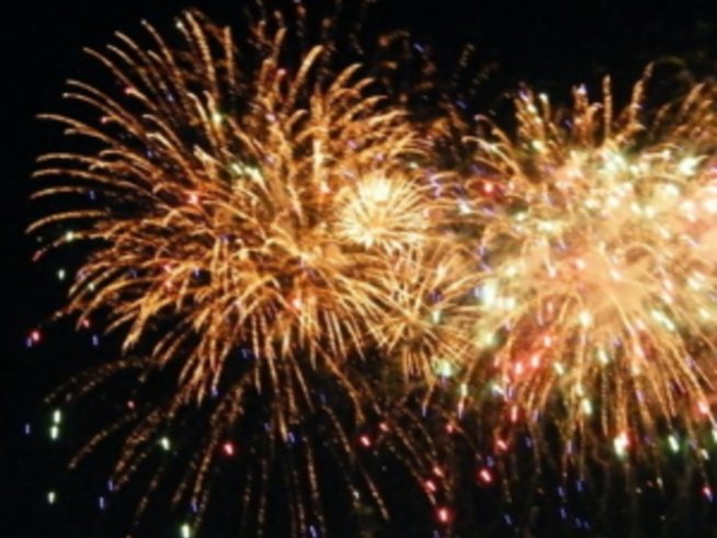 Новогодишни фойерверки плашат до смърт домашните любимци