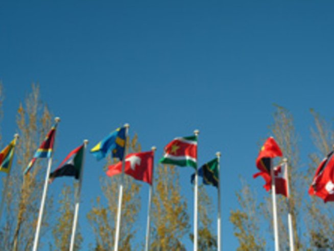 Любопитни данни за нас и останалите европейци