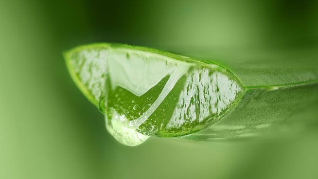 Трик с алое вера премахва плаката по зъбите. Снимка: istock