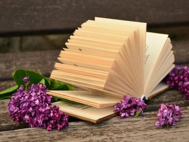 Снимка: pixabay