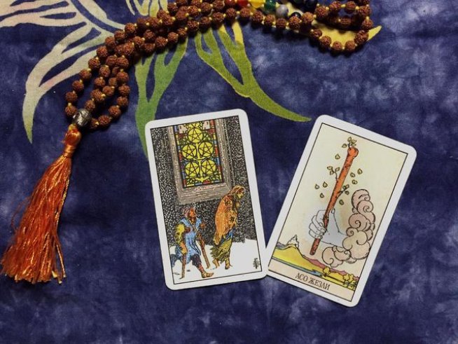 Снимка: Венета Евтимова.