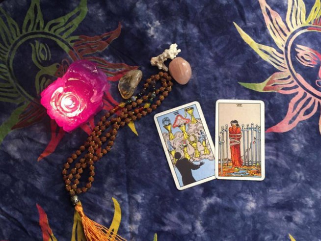 Снимка: Венета Евтимова.