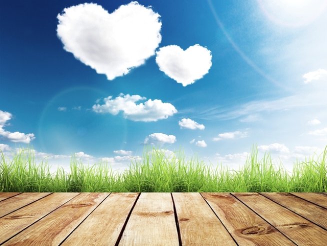 Снимка: Thinktock