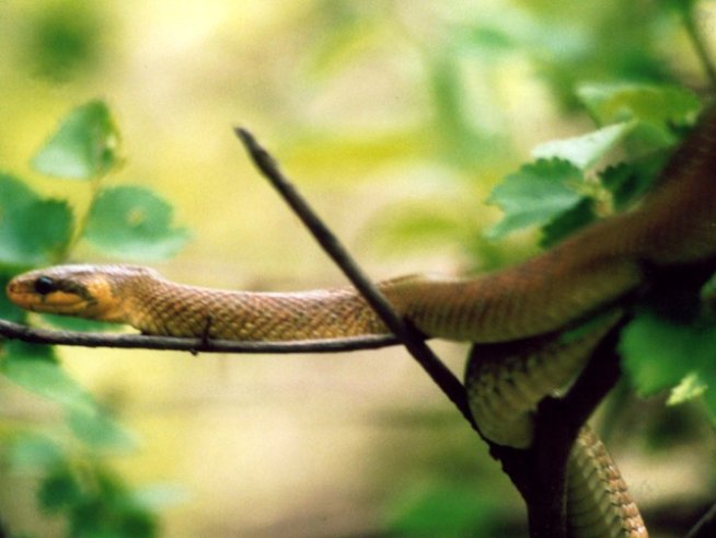 Снимка: Sxc.hu