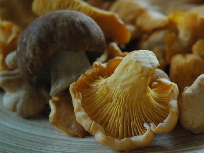 Снимка: Sxc.hu