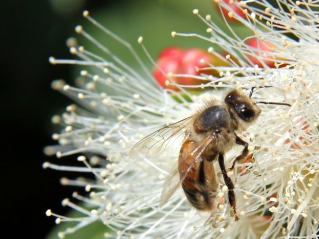 Снимка: Sxc.hu