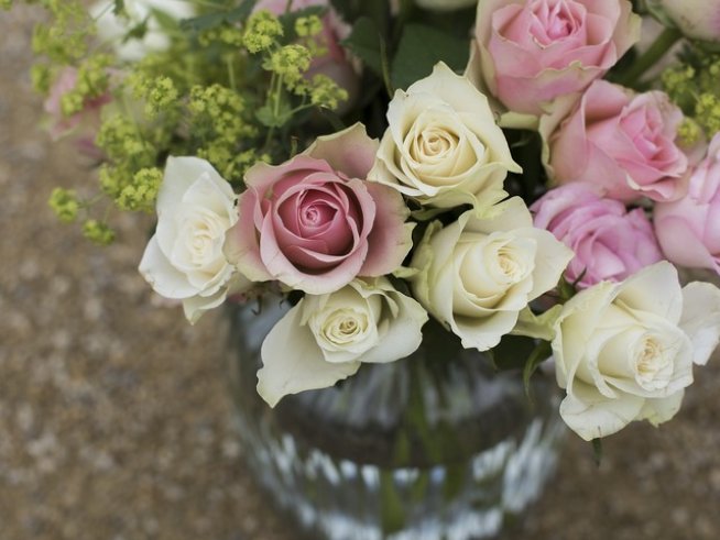 Снимка:pixabay