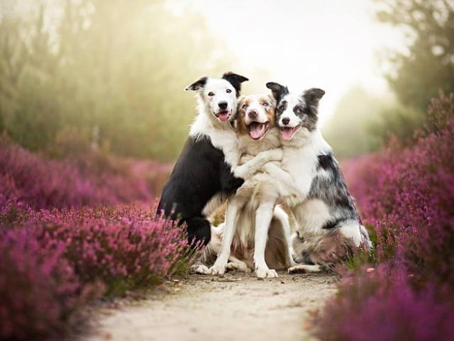 Снимка: facebook Alicja Zmysłowska Photography