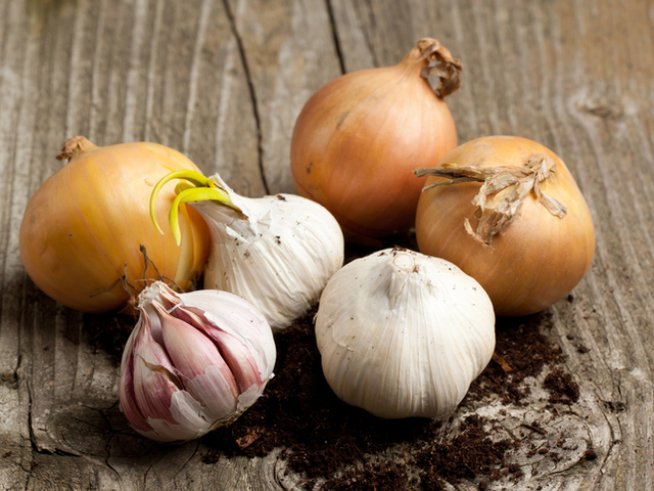 Снимка: istock