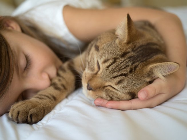 Снимка: istock