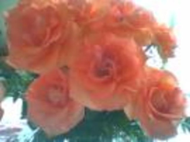 Осми март е