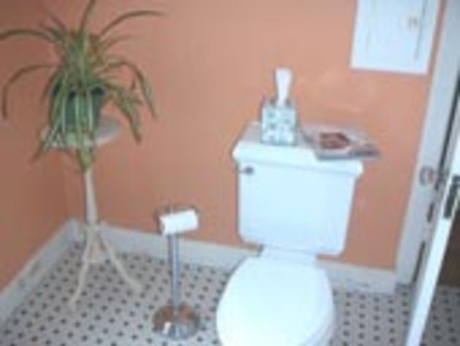 Отглеждане на растения в баня