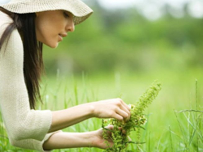 Наръсете се с мълчана вода на Витоша за Еньовден