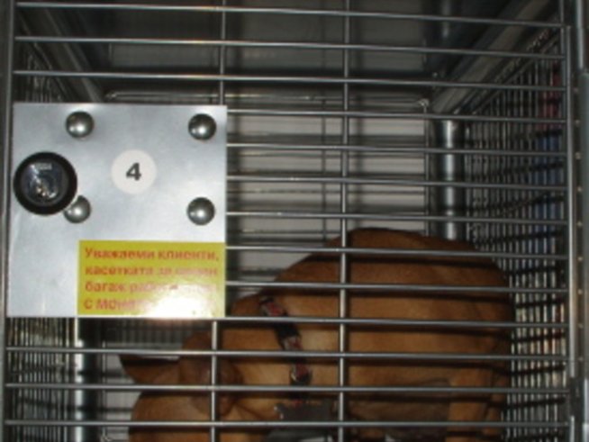 Какво да правим с любимия, докато пазаруваме