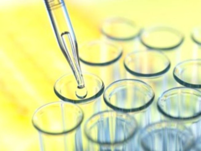 Протест срещу разпространението на генно модифицираните организми