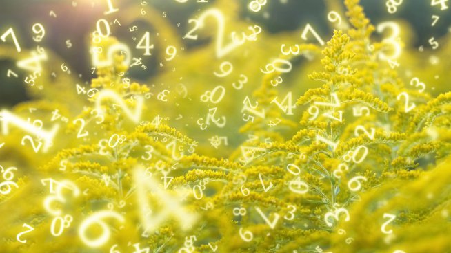 Нумерологична прогноза за 14 август . Снимка: istock