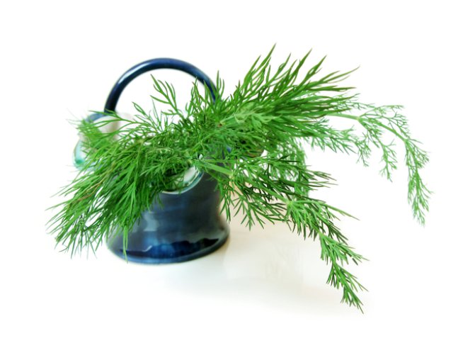 Снимка: Sxc.hu