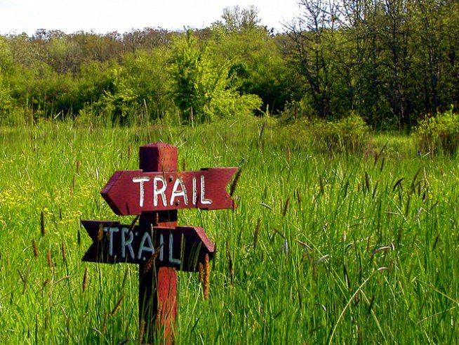 Снимка: Sxc.hu