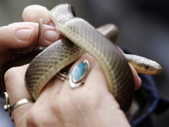 Снимка: Reuters