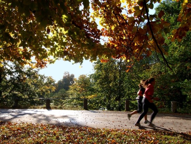 Снимка: Sxc.hu