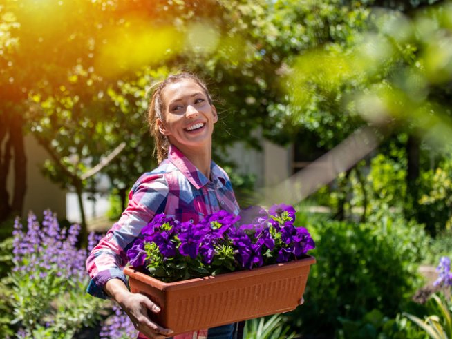 Снимка: istock