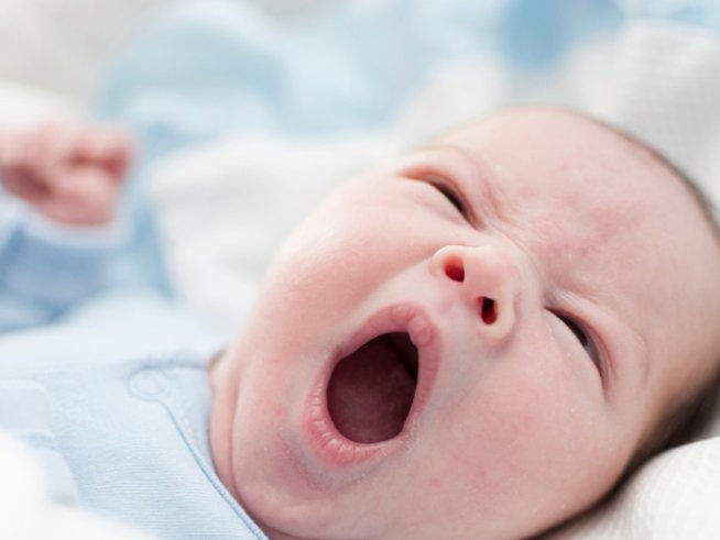 Снимка: Thinkstock