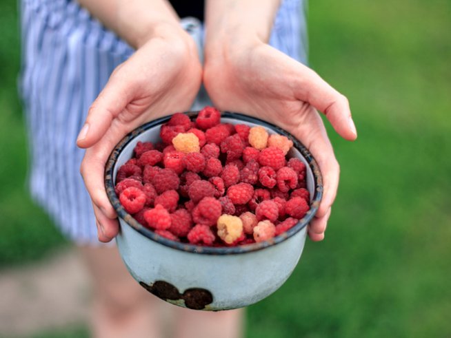 Снимка: istock