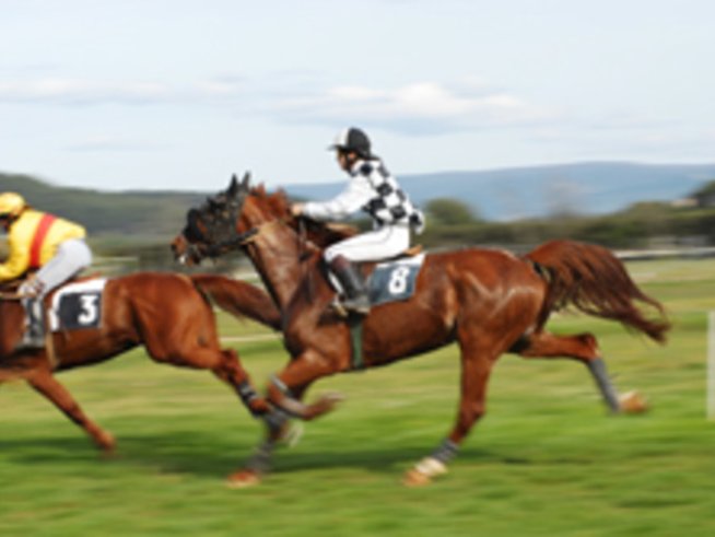 Деца с церебрална парализа ще се обучават безплатно на конна езда