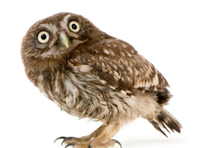 Снимка: thinkstock