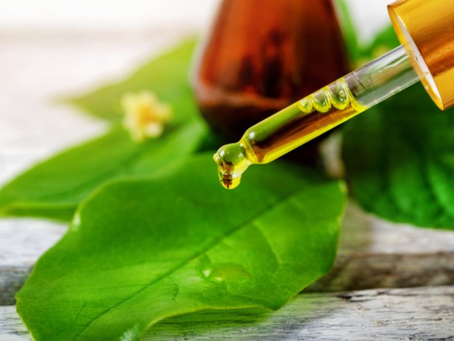 Снимка: istock